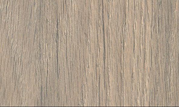 Carvalho Canela_linha Evidence