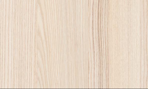 Carvalho  Coimbra_linha Evidence